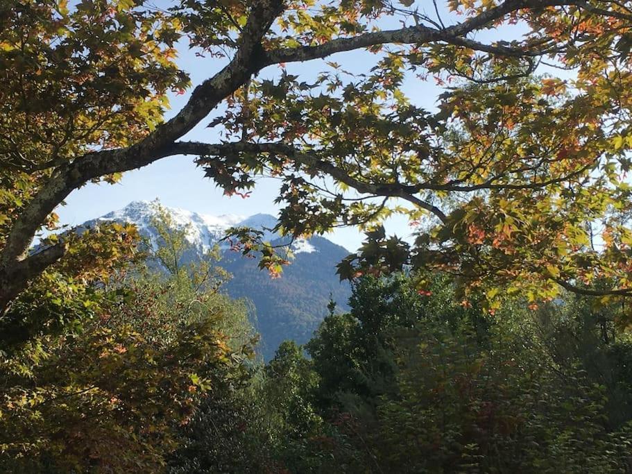 Lerable Pourpre De La Grotte Au Lion Holiday home Arbon