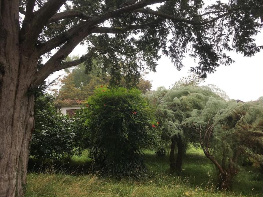 Holiday home Lerable Pourpre De La Grotte Au Lion *